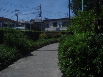 北沢緑道002.jpg