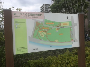 新田さくら公園001.jpg
