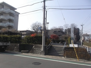 白鷺ネムノキ公園001.jpg