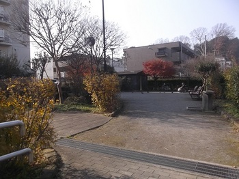白鷺ネムノキ公園002.jpg